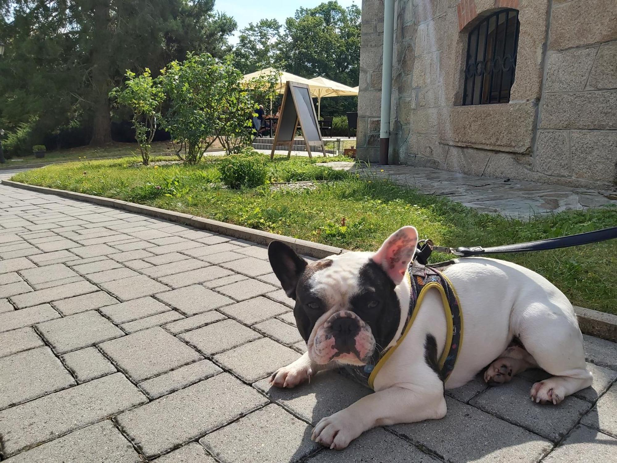 Hotel Chateau Cihelny Karlowe Wary Zewnętrze zdjęcie